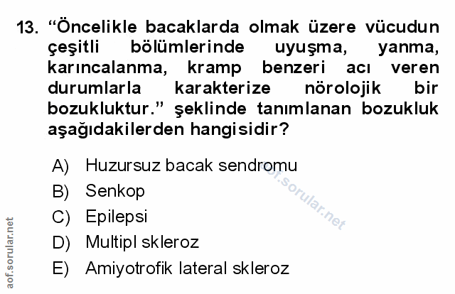 Soru 13