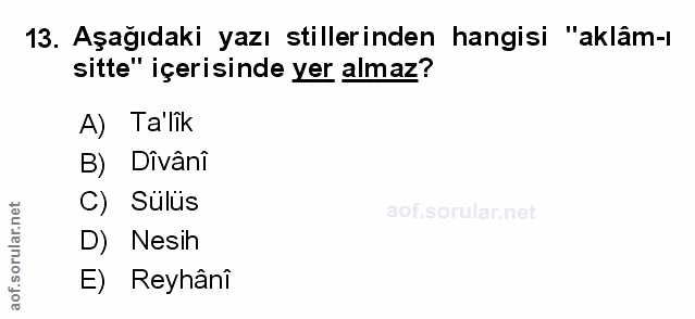 Soru 13
