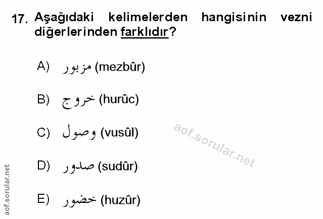 Soru 17
