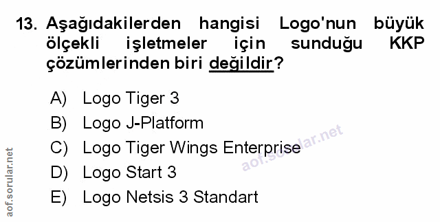 Soru 13