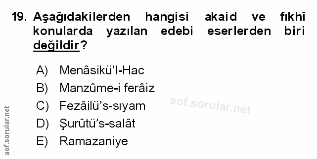 Soru 19