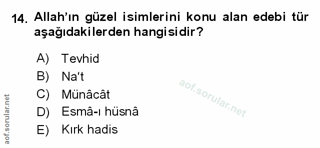 Soru 14