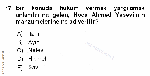 Soru 17