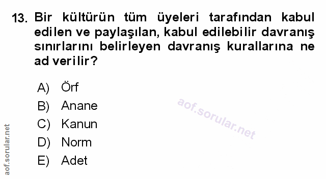 Soru 13