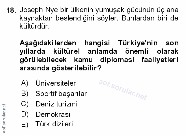 Soru 18