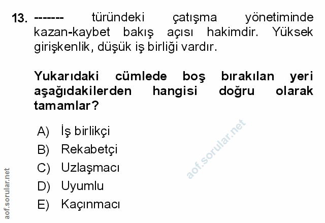 Soru 13