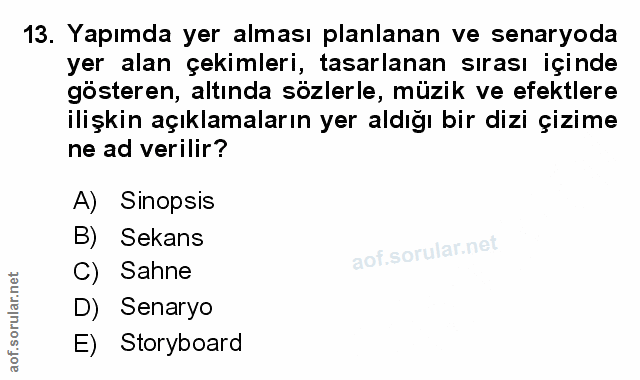 Soru 13