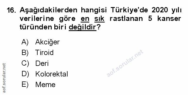 Soru 16