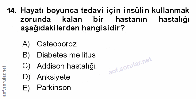 Soru 14