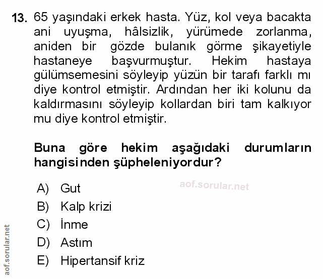 Soru 13