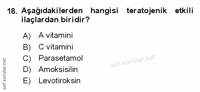 Soru 18