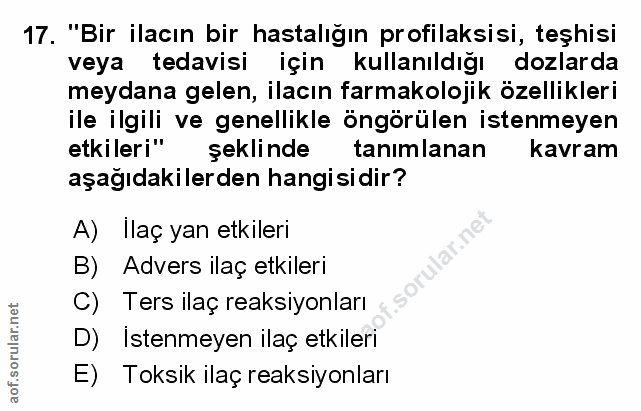 Soru 17