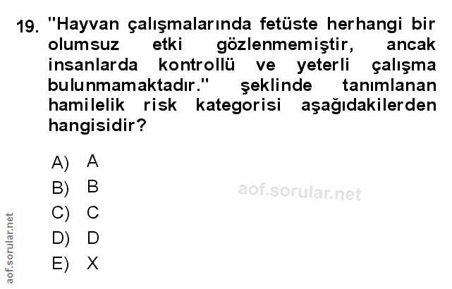 Soru 19