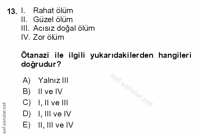 Soru 13