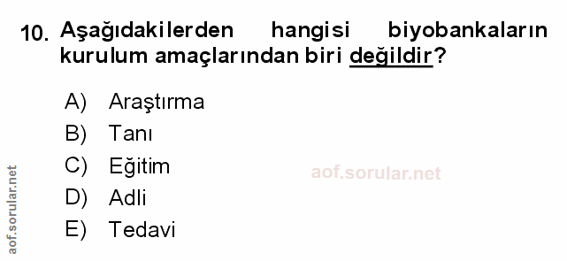 Soru 10