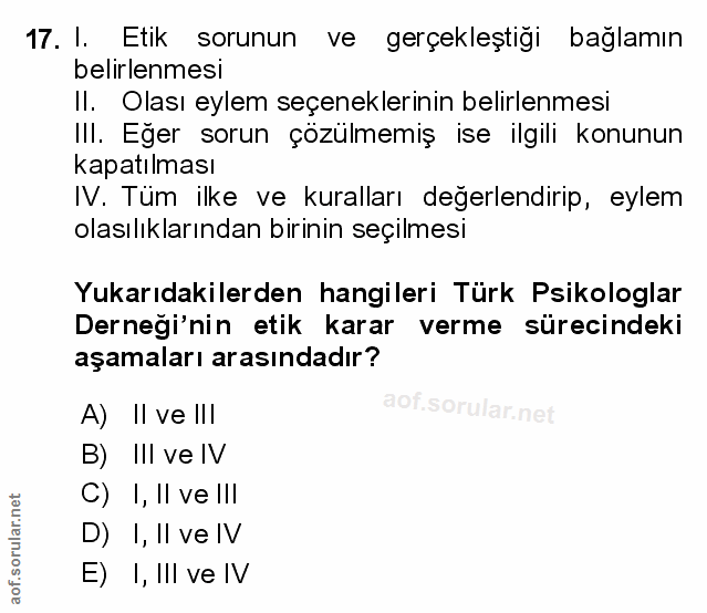 Soru 17