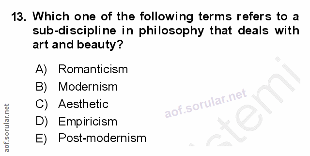 Soru 13