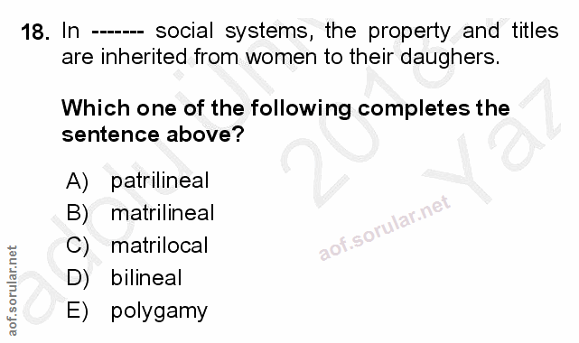 Soru 18