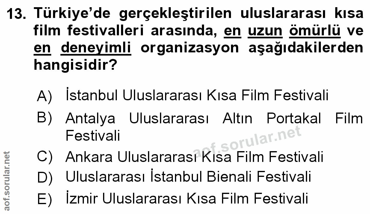 Soru 13