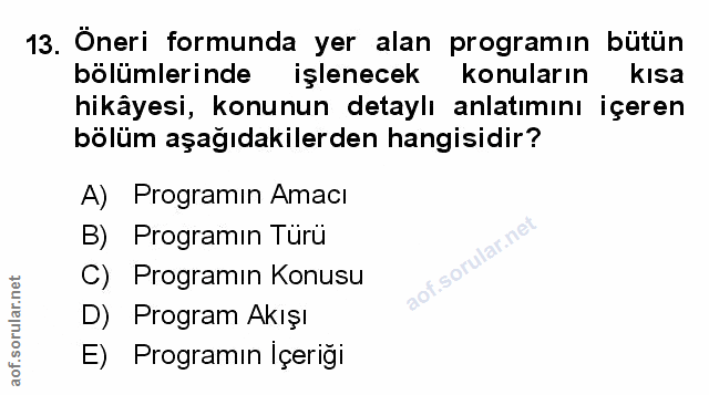 Soru 13