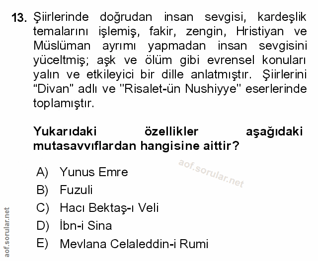 Soru 13
