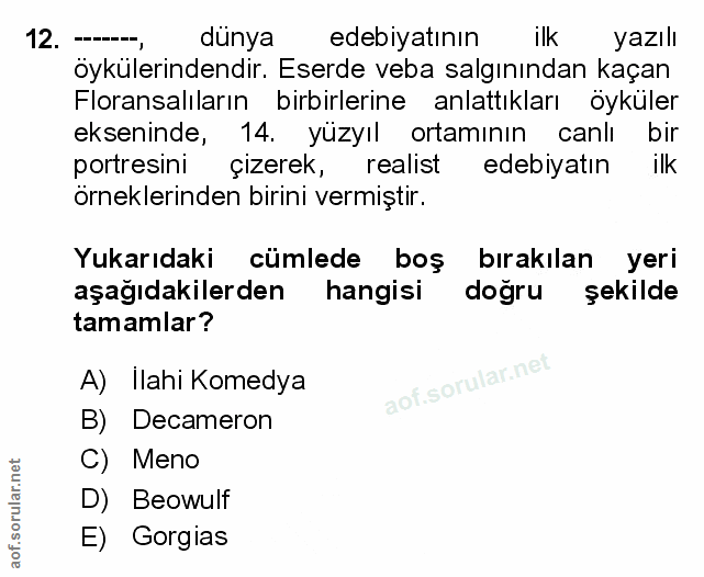 Soru 12