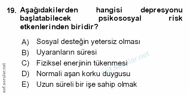 Soru 19