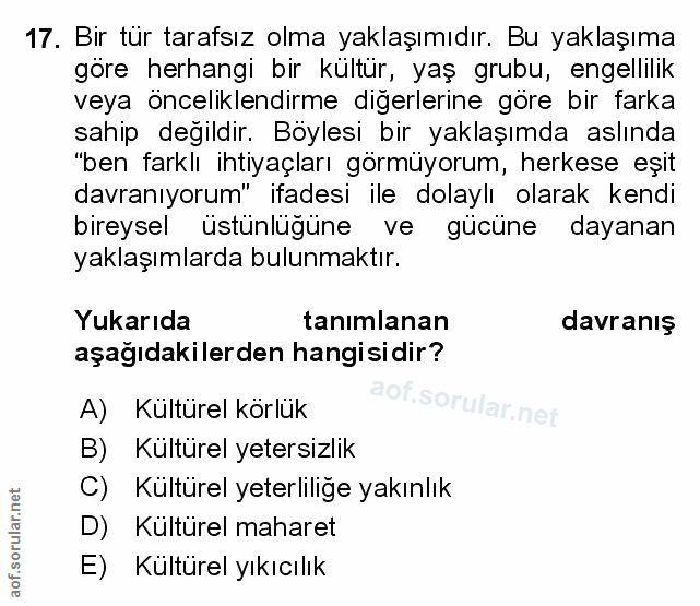 Soru 17