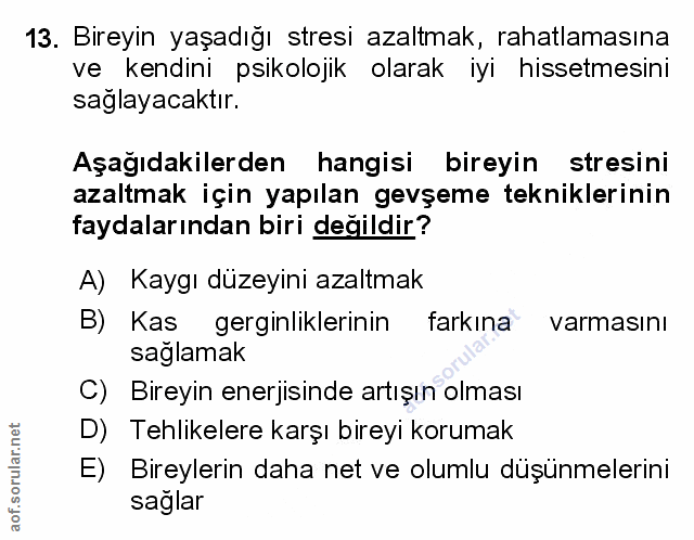 Soru 13