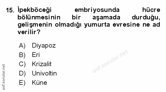 Soru 15
