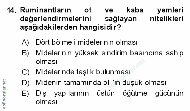 Soru 14