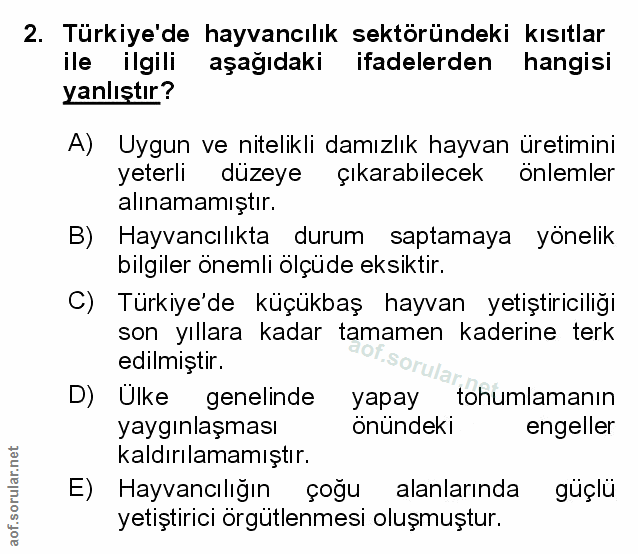 Soru 2