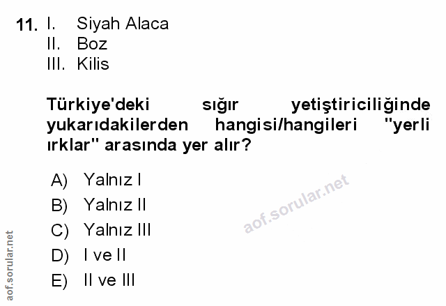 Soru 11