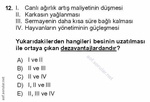 Soru 12
