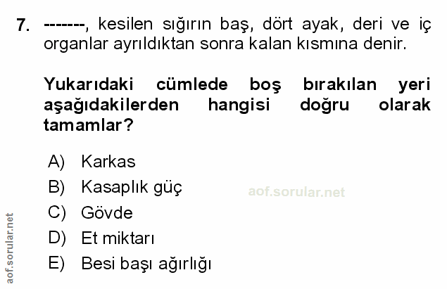 Soru 7