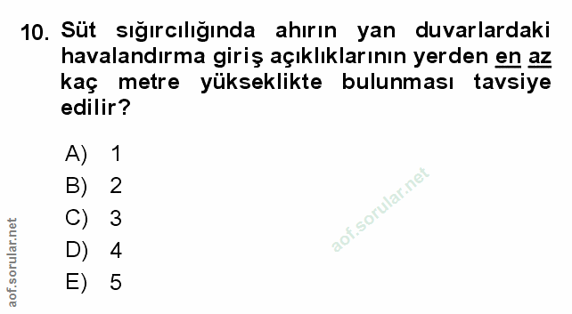 Soru 10