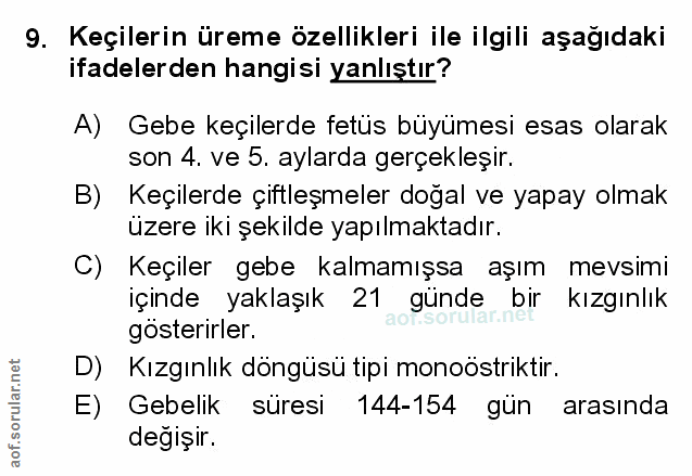 Soru 9