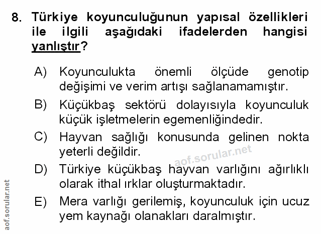 Soru 8