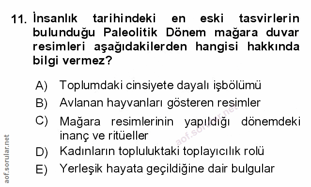 Soru 11