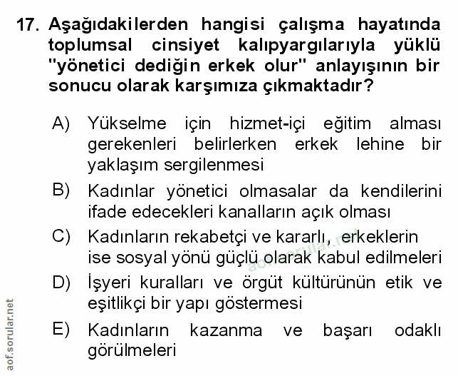 Soru 17