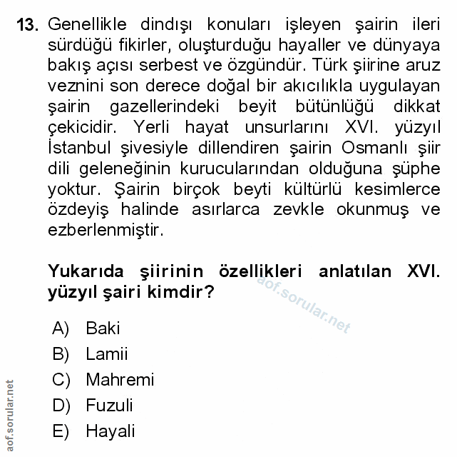 Soru 13