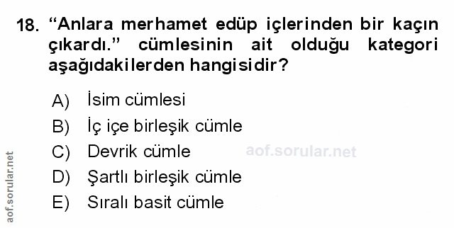Soru 18