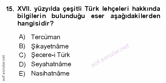 Soru 15