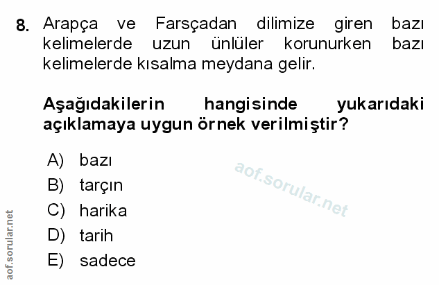 Soru 8