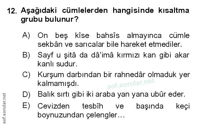 Soru 12
