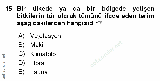 Soru 15
