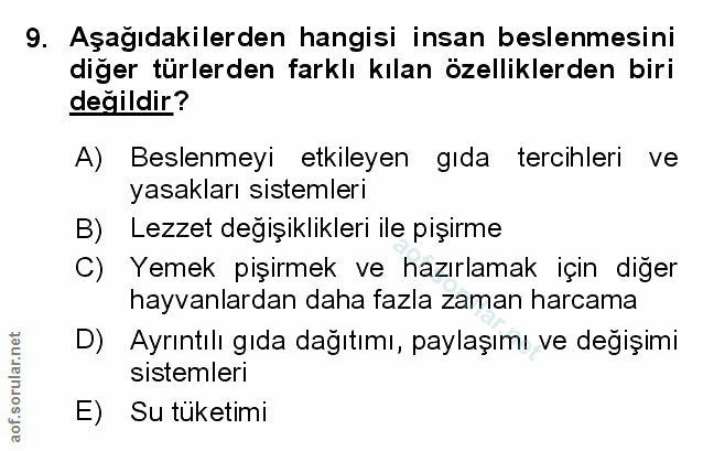 Soru 9