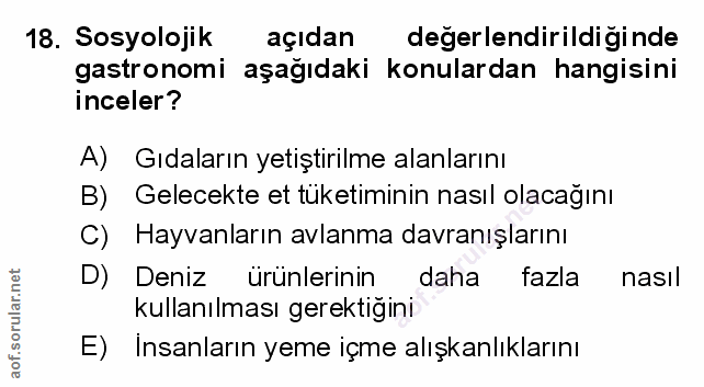 Soru 18
