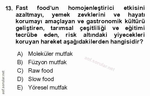 Soru 13