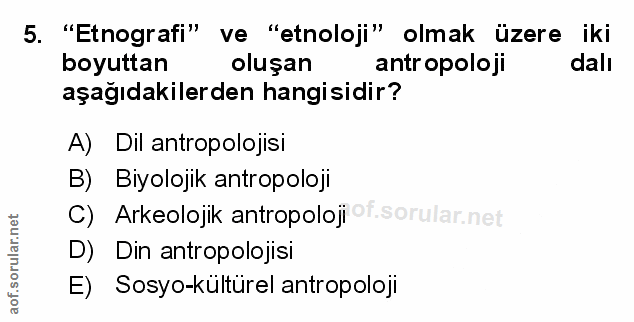Soru 5